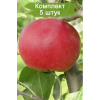 Саженцы Яблони Ред Фри (Red Free) -  5 шт.: фото и описание